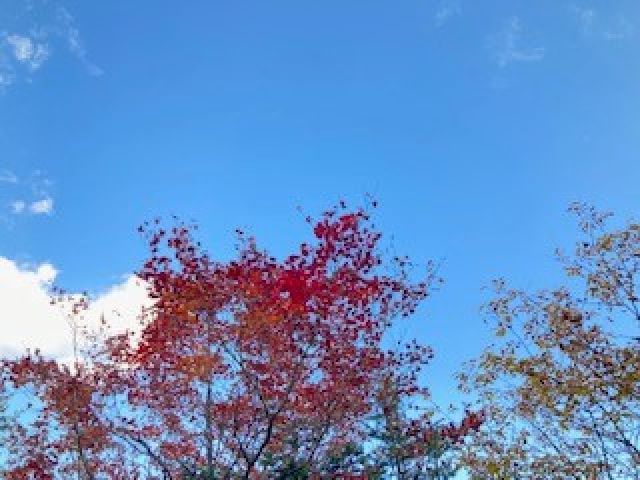 休日は観光にも出やすい場所です！
