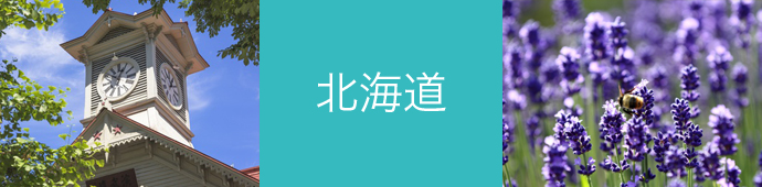 北海道のリゾートバイトに役立つ観光情報ガイド