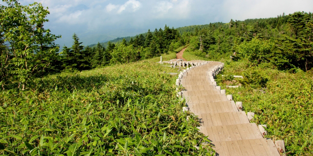 四阿山(あずまやさん)