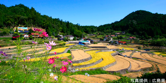 井仁の棚田