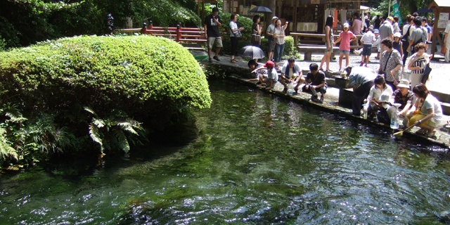 白川水源