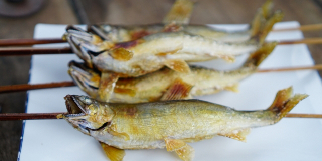 川魚