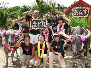 文教スタヂオ由布島営業所