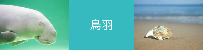 鳥羽のリゾートバイト・エリア情報