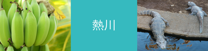 熱川のリゾートバイト・エリア情報