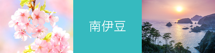 南伊豆のリゾートバイト・エリア情報