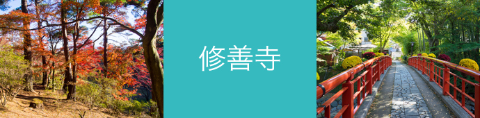 修善寺のリゾートバイト・エリア情報