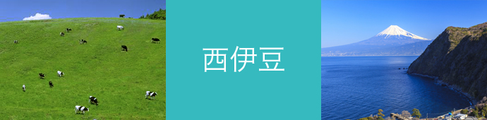 西伊豆のリゾートバイト・エリア情報